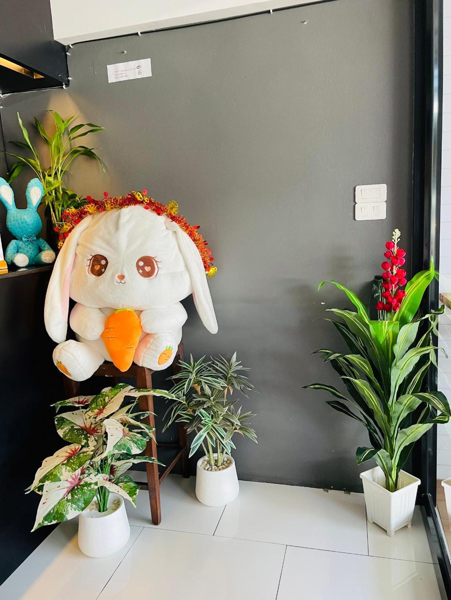 Rabbitel Phuket Hostel ภายนอก รูปภาพ